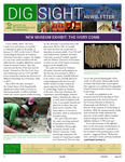 Fall 2024 DigSight Newsletter