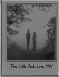 Down Little Creek Lane 1987