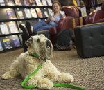 Therapy Dog Visits Begin at McKee Library by McKee Library